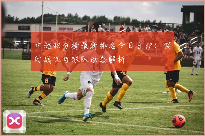 中超积分榜最新排名今日出炉:实时战况与球队动态解析