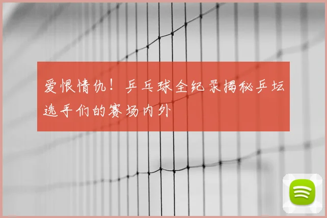 爱恨情仇！乒乓球全纪录揭秘乒坛选手们的赛场内外