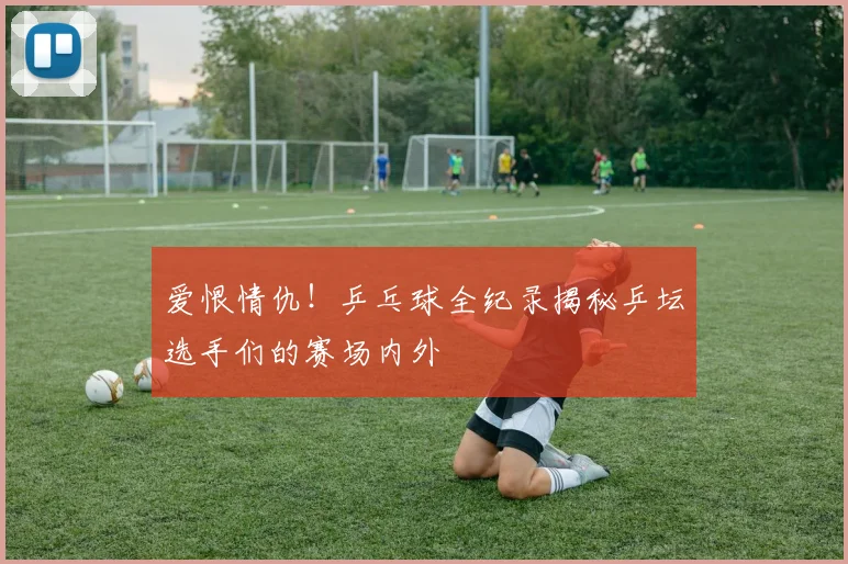 爱恨情仇!乒乓球全纪录揭秘乒坛选手们的赛场内外